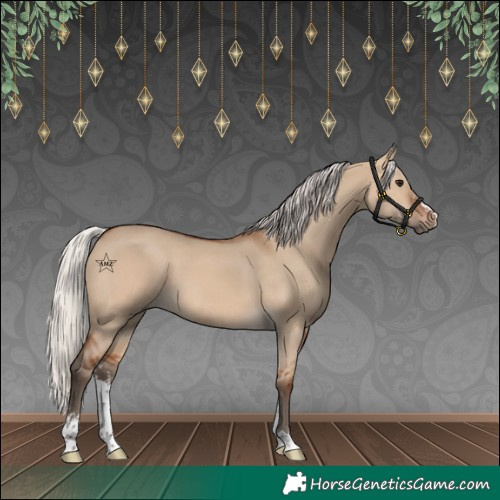 Horse Color:Silver Bay Dun Sabino
