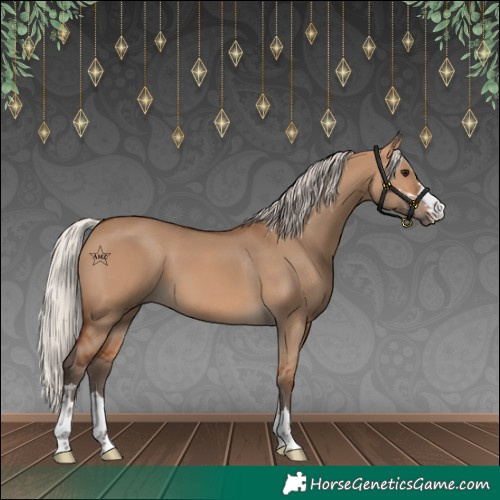 Horse Color:Silver Bay Dun 