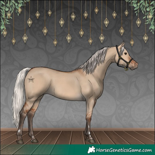 Horse Color:Silver Bay Dun