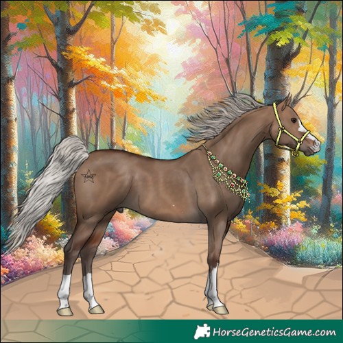 Horse Color:Silver Brown Dun