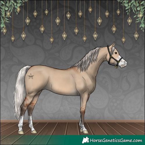 Horse Color:Silver Bay Dun Sabino