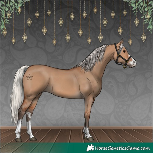 Horse Color:Silver Bay Dun