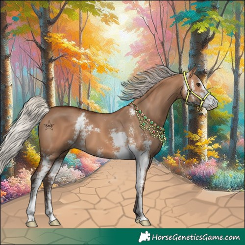 Horse Color:Silver Bay Dun Sabino 