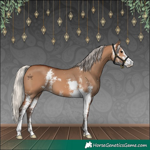 Horse Color:Silver Bay Dun Sabino 