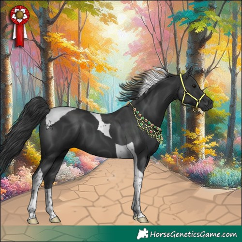 Horse Color:Black Tobiano