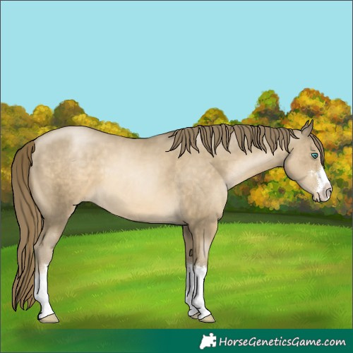 Horse Color:Smoky Black Pearl