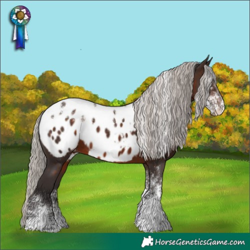 Horse Color:Powder White Silver Brown Appaloosa 
