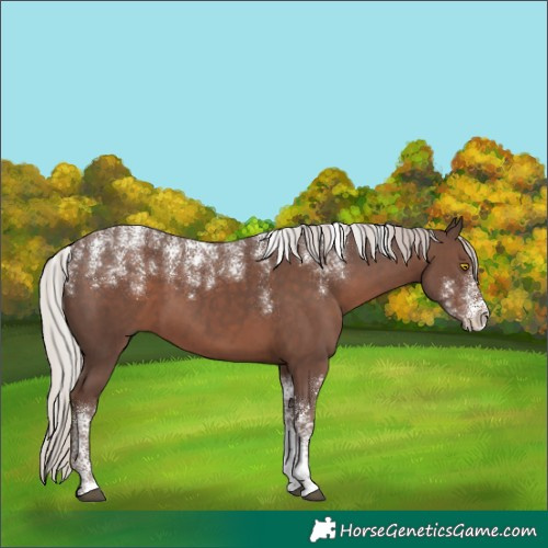 Horse Color:Powder White Silver Black 