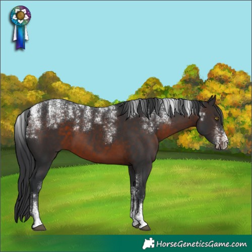 Horse Color:Powder White Brown 