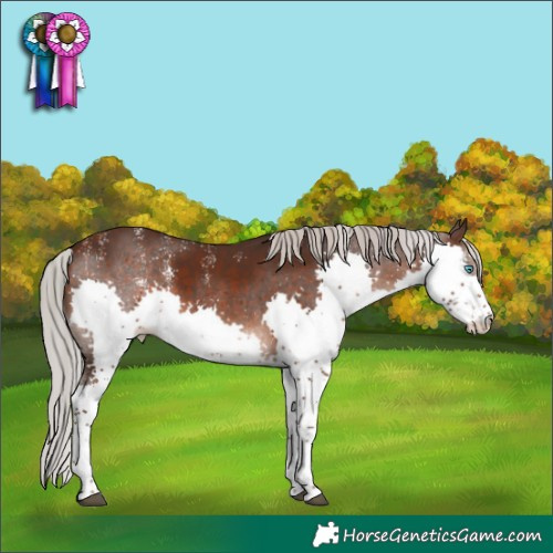Horse Color:Powder White Silver Brown Splash