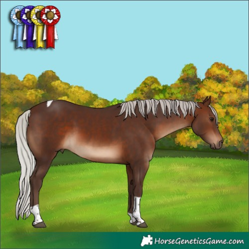 Horse Color:Silver Brown Tobiano