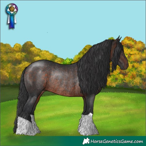 Horse Color:Brown Rabicano