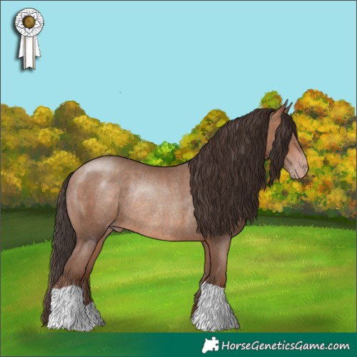 Horse Color:Sable Champagne Rabicano 