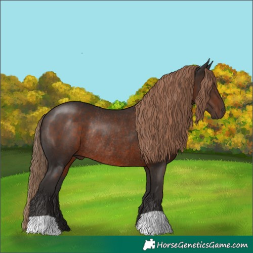 Horse Color:Liver Chestnut Rabicano 