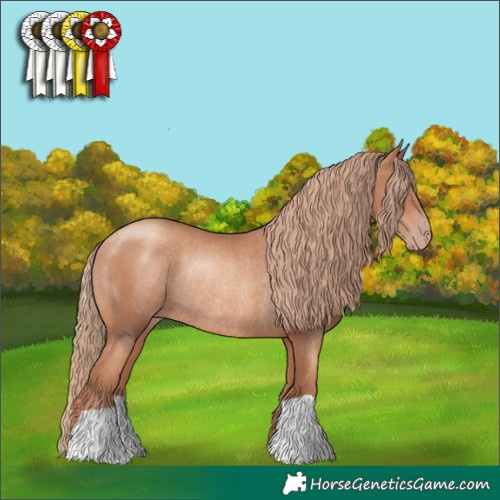 Horse Color:Gold Champagne Rabicano 