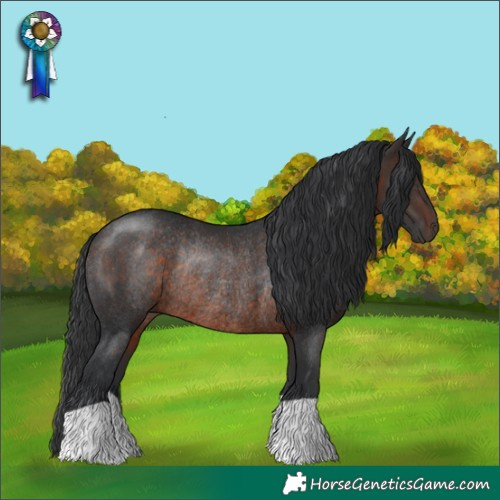 Horse Color:Brown Rabicano