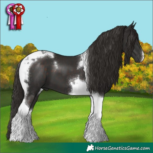 Horse Color:Liver Chestnut Tobiano 