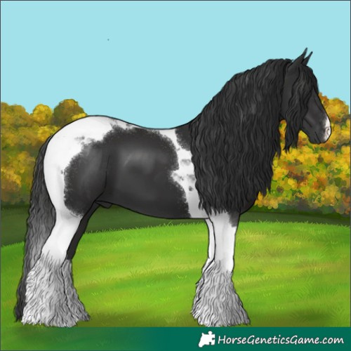 Horse Color:Liver Chestnut Tobiano 