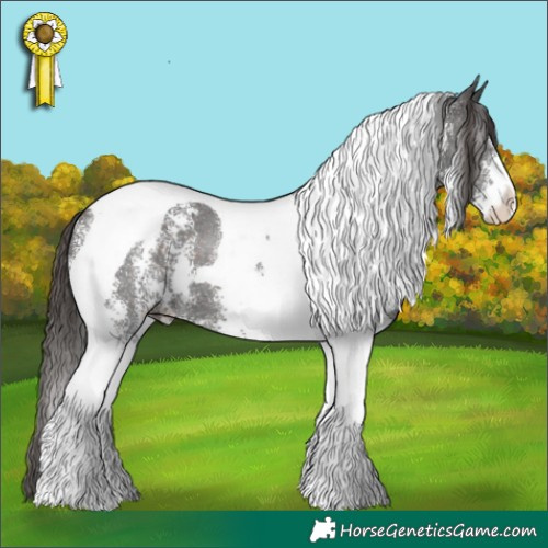 Horse Color:Liver Chestnut Sabino Tobiano 
