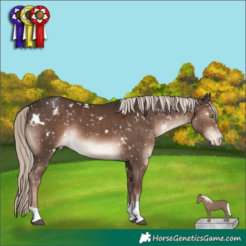 Horse Color:White Spotted Liver Chestnut Mushroom Tobiano Appaloosa Rabicano 