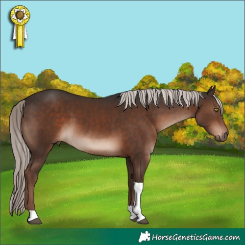 Horse Color:Liver Chestnut Mushroom Sabino Tobiano Rabicano 