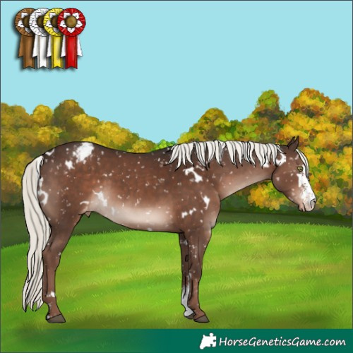 Horse Color:White Spotted Liver Chestnut Mushroom Sabino Appaloosa Rabicano 