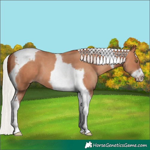 Horse Color:Silver Sable Champagne Tobiano Frame 