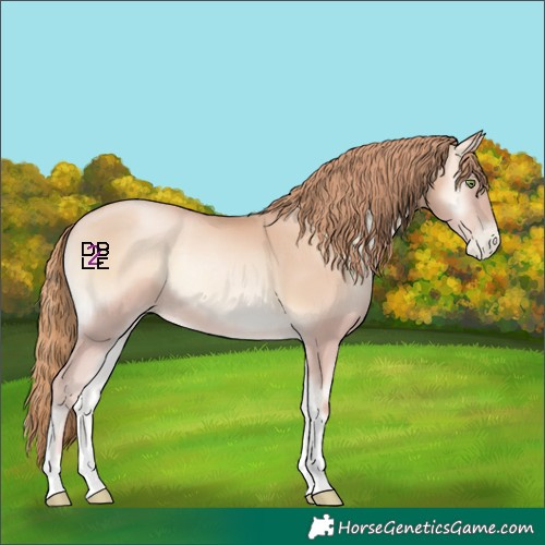 Horse Color:Gold Champagne Pearl Onyx Tobiano Rabicano 