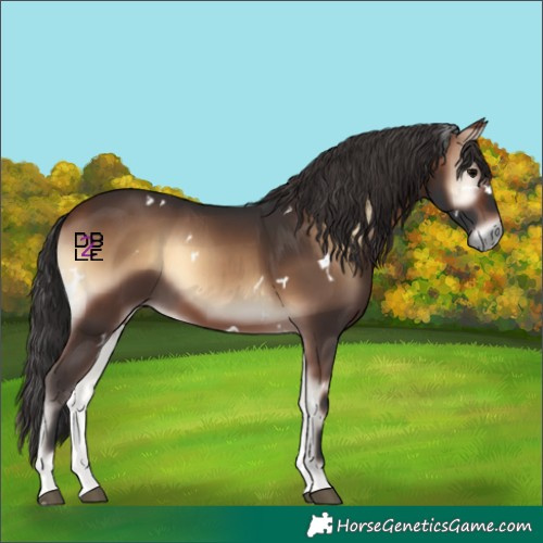 Horse Color:White Spotted Brown Onyx Rabicano 