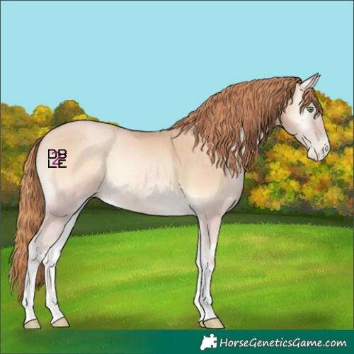 Horse Color:Buckskin Pearl Onyx Rabicano 