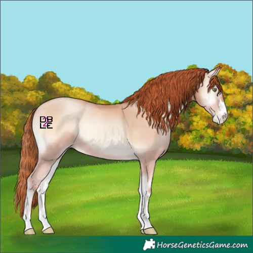 Horse Color:Sable Champagne Pearl Onyx Rabicano 