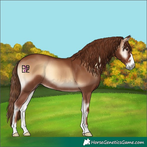 Horse Color:Red Onyx Rabicano 
