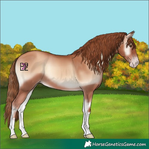 Horse Color:Gold Champagne Onyx Tobiano 
