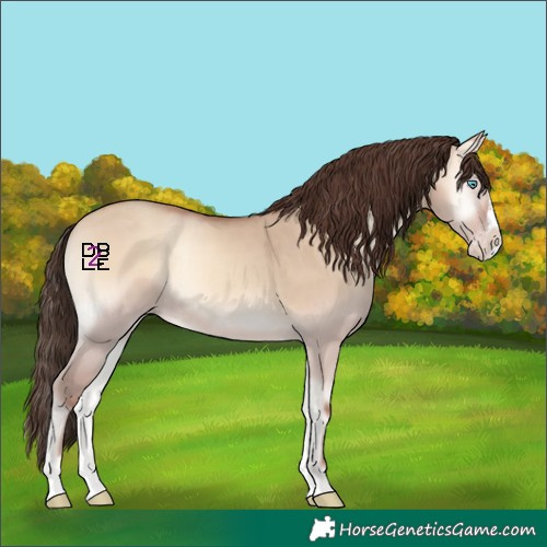 Horse Color:Amber Champagne Onyx Splash Rabicano
