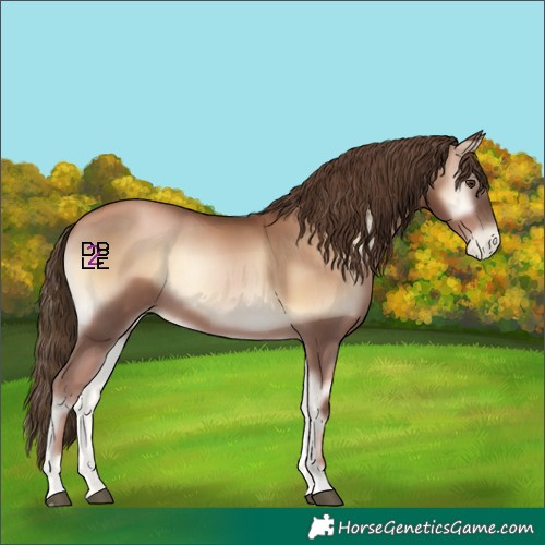 Horse Color:Liver Red Onyx Pearl 