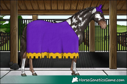 Horse Color:Liver Chestnut Tobiano Skewed LP Spotted 