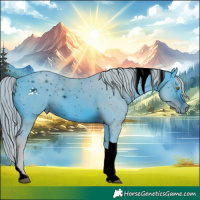 Horse Color:ERROR: UNKNOWN ANOMALY