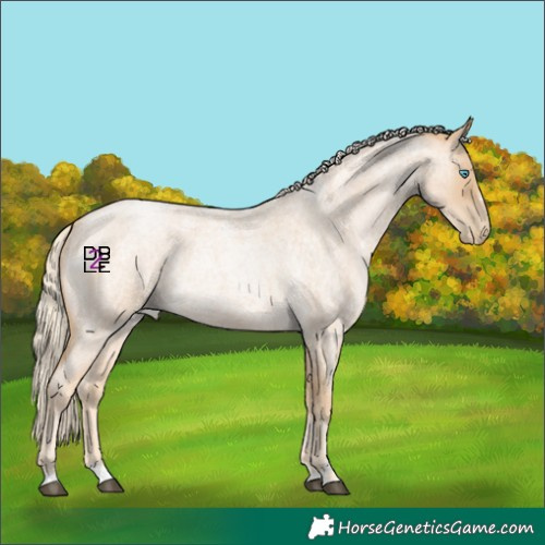 Horse Color:Palomino Roan Pearl 