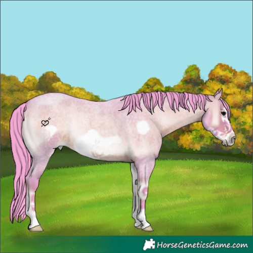 Horse Color:Watercolor Brown Roan Onyx Frame 