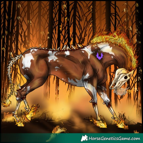 Horse Color:Chestnut Tobiano