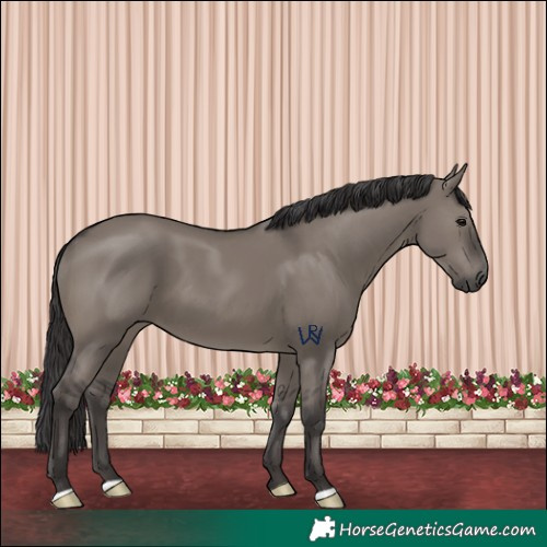 Horse Color:Smoky Grullo 