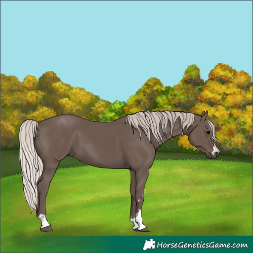 Horse Color:Silver Black 