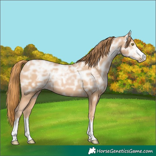 Horse Color:Chestnut Ice Pearl 