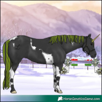 Horse Color:Painted Black Tobiano 
