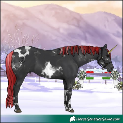Horse Color:Painted Black Tobiano