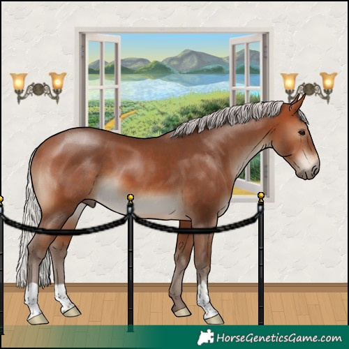Horse Color:Silver Brown