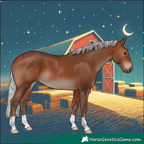 Horse Color:Silver Brown 