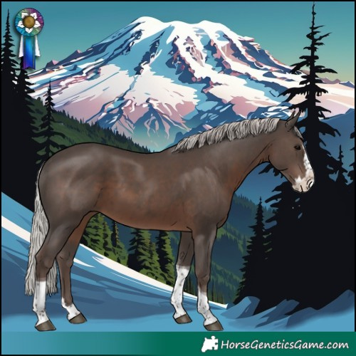 Horse Color:Silver Black Splash Tobiano 