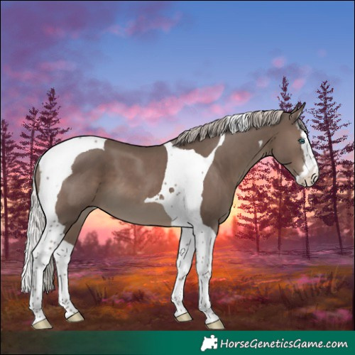 Horse Color:Silver Black Splash Tobiano