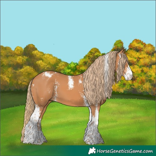 Horse Color:Chestnut Sabino 